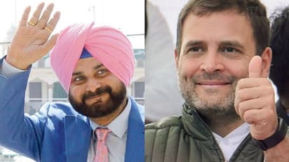 नवजोत सिद्धू का दावा, अमेठी में राहुल गांधी की हार के बाद छोड़ दूंगा राजनीति