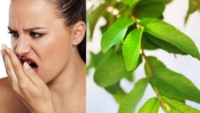 വായ്നാറ്റം അകറ്റാന് ഒരു എളുപ്പവഴി...