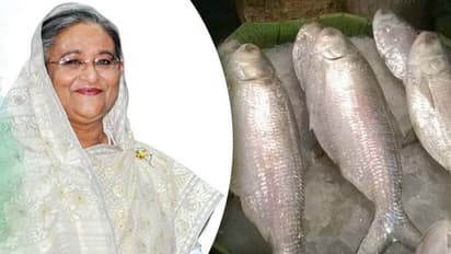 ভারতকে পদ্মার ইলিশ দিয়েও মিলছে না পেঁয়াজ, মান বাঁচাতে ইমরানেরই স্মরণ নিলেন ক্ষুব্ধ হাসিনা