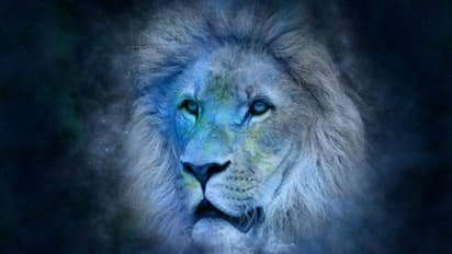 অগ্রহায়ণ মাস কেমন প্রভাব ফেলবে সিংহ রাশির উপর