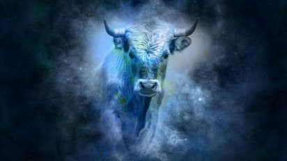 অগ্রহায়ণ মাস কেমন প্রভাব ফেলবে বৃষ রাশির উপর