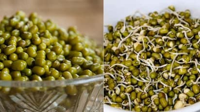 ചെറുപയറിന്റെ ചെറിയ വലിയ ഗുണങ്ങള് നിങ്ങളെ അത്ഭുതപ്പെടുത്തും