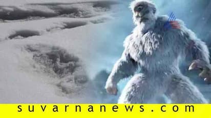 ಭಾರತೀಯ ಸೇನೆಗೆ ಸೆರೆಸಿಕ್ಕ ಹಿಮಮಾನವನ ಹೆಜ್ಜೆ ಗುರುತು!