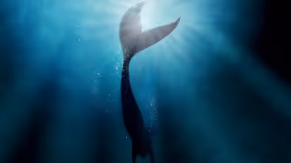 లక్కీ స్టోన్లో లైట్ అమర్చి.. జలకన్య కన్నుగా మాయమాటలు, 2 కోట్లకు అమ్మే యత్నం