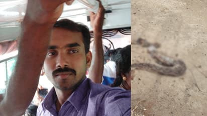 அரசு போக்குவரத்து பணிமனையில் பாம்பு கடித்து நடத்துனர் உயிரிழப்பு..!