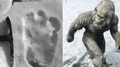 വെള്ളക്കാർ കണ്ടെത്തിയാൽ ആഹാ.. ഇന്ത്യൻ സൈന്യം കണ്ടെത്തിയാൽ അയ്യേ...; ഇതെന്തു ന്യായം..!