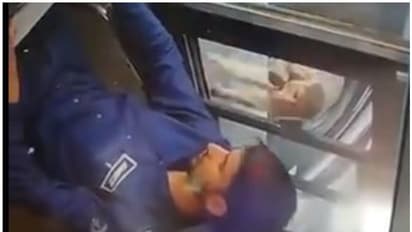 മോഷണത്തിന് പുതിയ മാര്ഗം; വെള്ളക്കാറിലെത്തിയ കുരങ്ങന് ടോള് ബൂത്തില് ചെയ്തത്, വൈറലായി വീഡിയോ