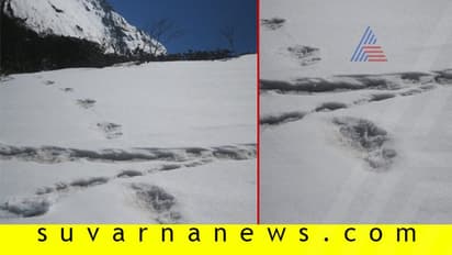 ಭಾರತೀಯ ಸೇನೆಗೆ ಸಿಕ್ಕ ಹೆಜ್ಜೆ ಗುರುತು ಯೇತಿಯದ್ದಲ್ಲ!: ನೇಪಾಳ ಕೊಟ್ಟ ಸ್ಪಷ್ಟನೆ ಏನು?