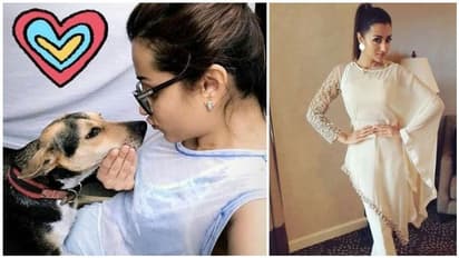 இதுவரை பார்த்திராத த்ரிஷாவின் அல்டிமேட் புகைப்படங்கள்!