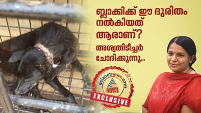 അവസാനിക്കുമോ ഈ കുരുക്കിടീൽ?