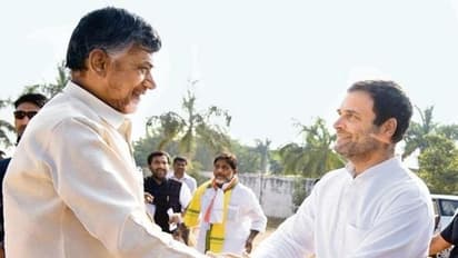 బెంగాల్‌లో బాబు ప్రచారం: ఢిల్లీలో రాహుల్‌తో భేటీ, కూటమిపై చర్చ