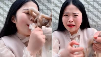 'ലൈവ്' ആയി ജീവനുള്ള നീരാളിയെ തിന്നാന്‍ നോക്കി, പണി പാളി; വീഡിയോ...