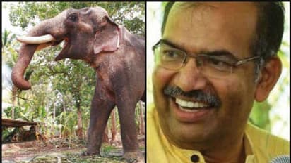 ആർത്തവത്തിൽ നിന്നും ആനയിലേക്ക്; ഇത് ഇരുപത്തി ഒന്നാം നൂറ്റാണ്ടാണെന്ന് ഓര്മ്മിപ്പിച്ച് മുരളി തുമ്മാരുകുടി