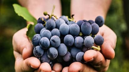 ಫಳ ಫಳ ಹೊಳೆಯೋ ತ್ವಚೆಗೆ ಬ್ಲ್ಯಾಕ್ ಫುಡ್....