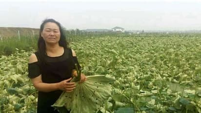 चीन में ये फसलें हो रही बर्बाद, भारत के किसान ऐसे होंगे मालामाल