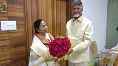 చంద్రబాబు వ్యూహానికి మమతా బ్రేక్: 21వ తేదీ భేటీకి నో