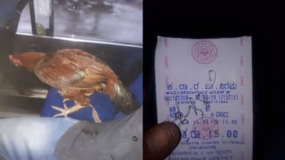 ಹುಂಜಕ್ಕೆ ಟಿಕೆಟ್ ಕೊಟ್ಟ ನಿರ್ವಾಹಕ, ಸರಿಯಾದ ಉತ್ತರನ್ನೇ ಕೊಟ್ಟ ಪ್ರಯಾಣಿಕ