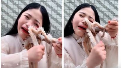 ಜೀವಂತ ಅಕ್ಟೋಪಸ್ ತಿನ್ನಲು ಮುಂದಾದ ಮಹಿಳೆ.. ಮುಂದೇನಾಯ್ತು? ವಿಡಿಯೋ