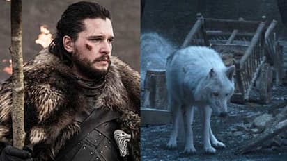 Game of Thrones: Here’s why Jon Snow didn’t say bye to Ghost?