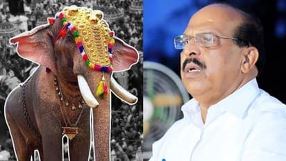 കുഴപ്പക്കാരനെങ്കില് ആനയെ എഴുന്നള്ളിക്കരുത്, അപകടമില്ലാതെ നോക്കേണ്ടത് കളക്ടര്: ജി. സുധാകരന്