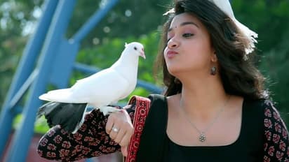 கீர்த்தி சுரேஷுக்கு அடித்த லக்! தலைகால் புரியாத சந்தோஷத்தில் போட்ட சூப்பர் ட்விட்!