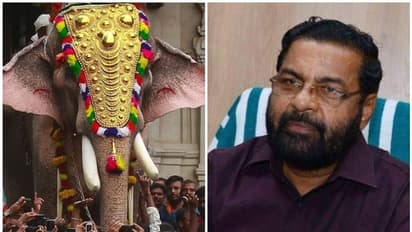 പൂര വിളംബരത്തിൽ തെച്ചിക്കോട്ടുകാവ് രാമചന്ദ്രനെ പങ്കെടുപ്പിക്കാം: നിയമോപദേശം ശരിവച്ച് ദേവസ്വം മന്ത്രി