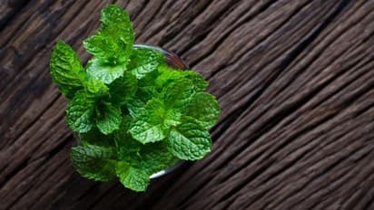 വേനല്ക്കാലത്തെ തലമുടി കൊഴിച്ചിലിന് ഇതാ ഒരു പരിഹാരം...