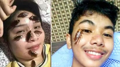 കാണുമ്പോള് ചെറിയ അസ്വസ്ഥത തോന്നാം; പക്ഷേ വേറെ രക്ഷയില്ല!