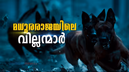 മധുരരാജയിലെ നായകള്‍ ഗ്രാഫിക്സാണോ; സംശയിക്കുന്നവര്‍ക്ക് ഇതാ ഉത്തരം