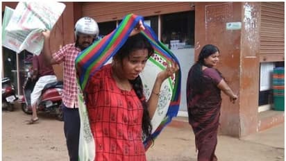 താമരക്കുളം മാർക്കറ്റ് ജംഗ്ഷന്‍ കടന്നൽ ഭീഷണിയിൽ; അഞ്ച് പേർക്ക് കടന്നൽ കുത്തേറ്റു