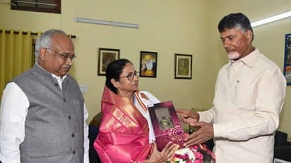 जानें क्यों चुनाव परिणाम से पहले विपक्षी दलों के महागठबंधन पर ममता ने लगाया ब्रेक