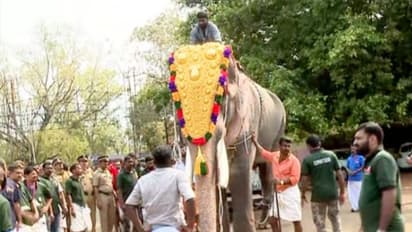 ഇത്തവണ പൂരത്തിന് തെക്കേ ഗോപുരനട തുറക്കാൻ തെച്ചിക്കോട്ടുകാവ് രാമചന്ദ്രനുണ്ടാകില്ല