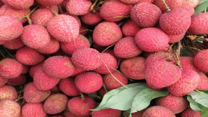 ত্বকের এই তিন সমস্যা সমাধানে হাতিয়ার করুন লিচু, জেনে নিন কীভাবে ব্যবহার করবেন