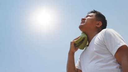 ഇന്ത്യ ഇനി ചുട്ടുപൊള്ളും; രാജ്യത്ത് തീവ്രമായ ഉഷ്ണതരംഗമുണ്ടാകുമെന്ന് പഠനം