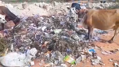 ಗದಗ: ರೋಗಗಳ ಉತ್ಪಾದನಾ ಕೇಂದ್ರವಾದ ಶಾಲಾ ಆವರಣ