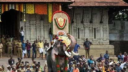 'തെച്ചിക്കോട്ടുകാവ് രാമചന്ദ്രന് കാഴ്ചയില്ലെന്നാണ് മനസിലാവുന്നത്'; എങ്ങനെ എഴുന്നള്ളിക്കാൻ സാധിക്കും: ഹൈക്കോടതി
