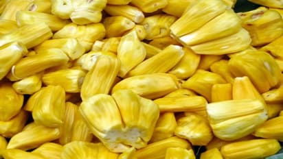 গরমে জমিয়ে কাঁঠাল খান! অনেক রোগের ওষুধ রয়েছে এই ফলে