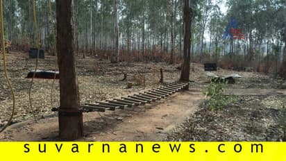 ಕಾಂಕ್ರೀಟ್ ಕಾಡಿನಿಂದ ‘ತುರಹಳ್ಳಿ’ಗೆ ಸಂಕಷ್ಟ: ಅರಣ್ಯ ಇಲಾಖೆಯಿಂದಲೇ ನಾಶ?