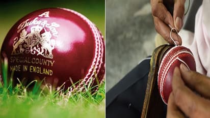 ಕ್ರಿಕೆಟ್ನಲ್ಲಿ ಲೆದರ್ ಚೆಂಡಿಗೆ ನಿಷೇಧ; ವೆಜ್ ಬಾಲ್ ಬಳಕೆ!