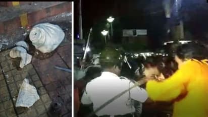 বিদ্যাসাগরের মূর্তি ভাঙায় 'কলঙ্কিত' কলকাতা! কী বলছেন বাংলার বিদ্বজনেরা