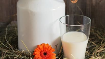 ಹಾಲು ಖರೀದಿ ದರ ಹೆಚ್ಚಳ : ಎಷ್ಟಾಯ್ತು ಏರಿಕೆ ?