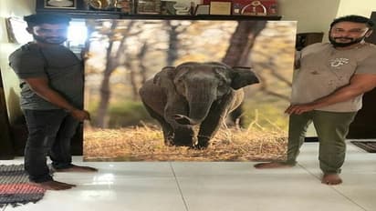 ದರ್ಶನ್ ತೆಗೆದ ಪೋಟೋಕ್ಕೆ ಚಿಕ್ಕಣ್ಣ ಕೊಟ್ಟ ದೊಡ್ಡ ಮೊತ್ತ, ಅಂಥಾ ವಿಶೇಷ ಏನಿದೆ?