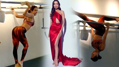 मलाइका अरोड़ा के इस वीडियो पर से नजरें हटाना है मुश्किल