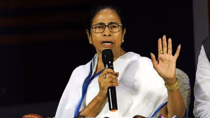 Mamata Banerjee and team must be stopped before further damage is caused to Bengal