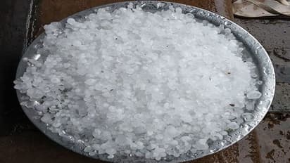 ಕೊಡಗಿನ ರಸ್ತೆಯಲ್ಲೇ ರಾಶಿ ರಾಶಿ ಮುತ್ತುಗಳು... ಆರಿಸಿಕೊಂಡವನೇ ಬುದ್ಧಿವಂತ!