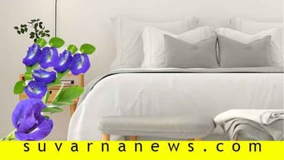 ಕಿಟಕಿ ಬಳಿ ಬೆಡ್ ಇದ್ದರೆ ದಾಂಪತ್ಯಕ್ಕೆ ಆಪತ್ತು...!