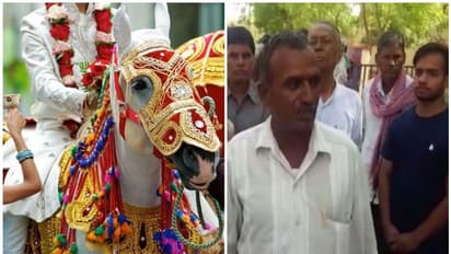 വിവാഹത്തിന് കുതിരപ്പുറത്ത് എത്തിയ ദലിത് വരന് മേല്‍ജാതിക്കാരുടെ ക്രൂര മര്‍ദ്ദനം