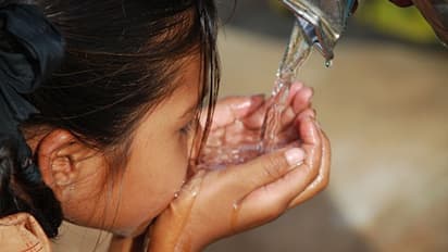 59 കുട്ടികൾക്ക് മഞ്ഞപ്പിത്തം, അരൂർ എഎംയുപി സ്കൂൾ അടച്ചു, പുളിക്കൽ പഞ്ചായത്തിൽ 102 പേർക്ക് രോഗബാധ