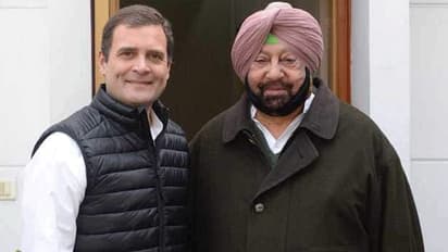 Punjab local body polls: Congress wins big, mayoral post in Bathinda; setback for BJP amid farmers' protest