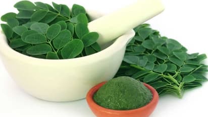 മുരിങ്ങയിലയുടെ ആര്‍ക്കുമറിയാത്ത ഗുണങ്ങള്‍